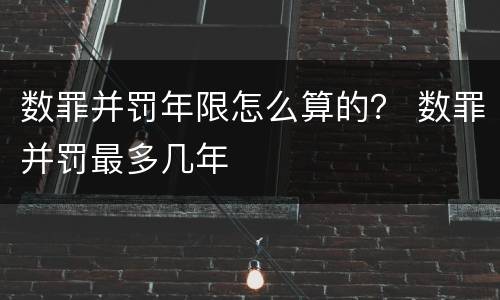 数罪并罚年限怎么算的？ 数罪并罚最多几年