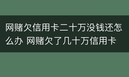 网赌欠信用卡二十万没钱还怎么办 网赌欠了几十万信用卡