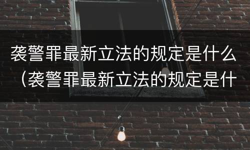 袭警罪最新立法的规定是什么（袭警罪最新立法的规定是什么意思）