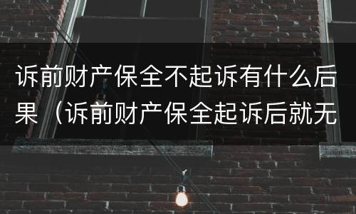 诉前财产保全不起诉有什么后果（诉前财产保全起诉后就无效了吗）