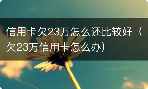 信用卡欠23万怎么还比较好（欠23万信用卡怎么办）