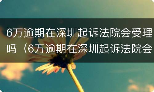 6万逾期在深圳起诉法院会受理吗（6万逾期在深圳起诉法院会受理吗怎么办）