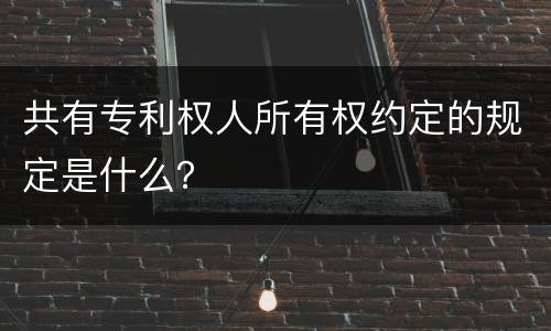 共有专利权人所有权约定的规定是什么？