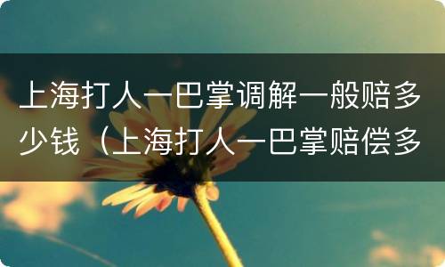 上海打人一巴掌调解一般赔多少钱（上海打人一巴掌赔偿多少钱）