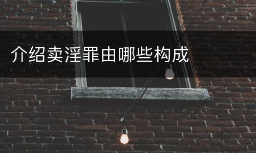 介绍卖淫罪由哪些构成