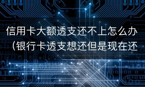 信用卡大额透支还不上怎么办（银行卡透支想还但是现在还不上怎么办）