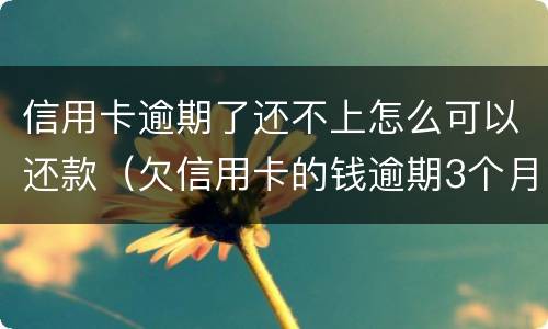 信用卡逾期了还不上怎么可以还款（欠信用卡的钱逾期3个月了还不上怎么办）