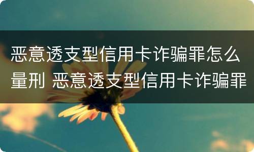 恶意透支型信用卡诈骗罪怎么量刑 恶意透支型信用卡诈骗罪怎么量刑的