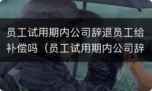 员工试用期内公司辞退员工给补偿吗（员工试用期内公司辞退员工给补偿吗合法吗）