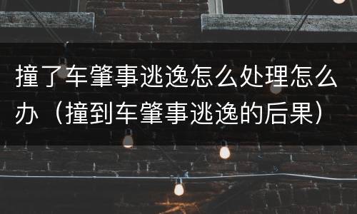 撞了车肇事逃逸怎么处理怎么办（撞到车肇事逃逸的后果）