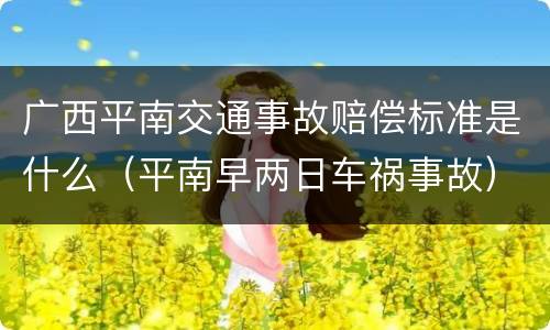 广西平南交通事故赔偿标准是什么（平南早两日车祸事故）