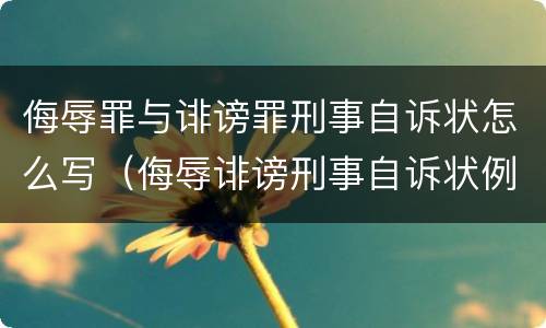 侮辱罪与诽谤罪刑事自诉状怎么写（侮辱诽谤刑事自诉状例文）