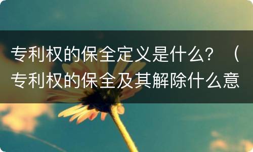专利权的保全定义是什么？（专利权的保全及其解除什么意思）