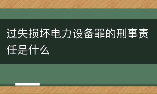 过失损坏电力设备罪的刑事责任是什么