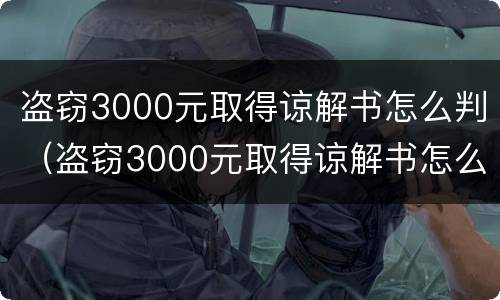 盗窃3000元取得谅解书怎么判（盗窃3000元取得谅解书怎么判刑）