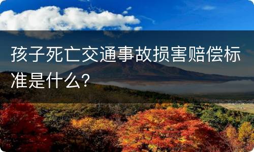 孩子死亡交通事故损害赔偿标准是什么？