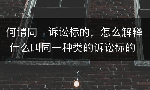 何谓同一诉讼标的，怎么解释 什么叫同一种类的诉讼标的