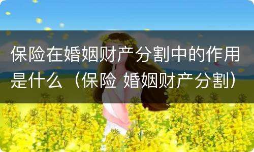 保险在婚姻财产分割中的作用是什么（保险 婚姻财产分割）