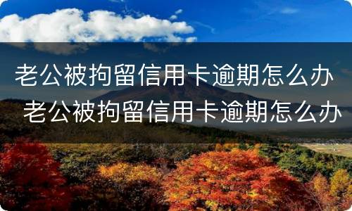 老公被拘留信用卡逾期怎么办 老公被拘留信用卡逾期怎么办理
