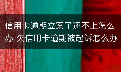 信用卡逾期立案了还不上怎么办 欠信用卡逾期被起诉怎么办