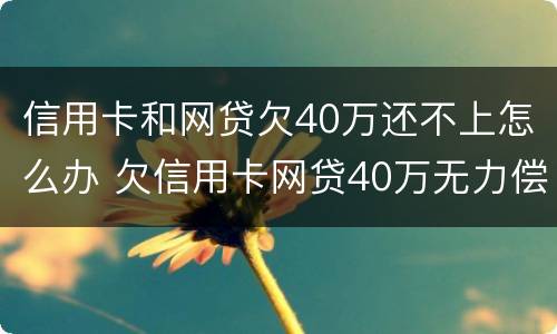 信用卡和网贷欠40万还不上怎么办 欠信用卡网贷40万无力偿还怎么办?
