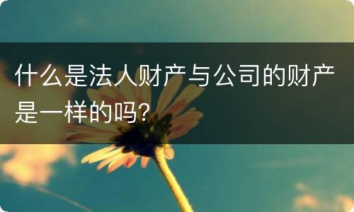 什么是法人财产与公司的财产是一样的吗？