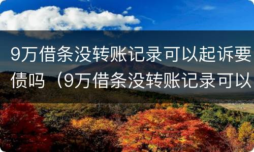 9万借条没转账记录可以起诉要债吗（9万借条没转账记录可以起诉要债吗怎么办）