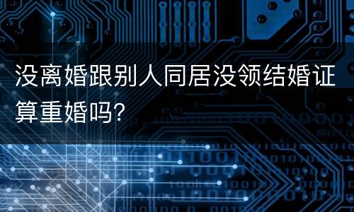 没离婚跟别人同居没领结婚证算重婚吗？