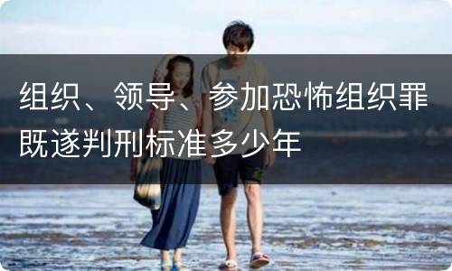组织、领导、参加恐怖组织罪既遂判刑标准多少年