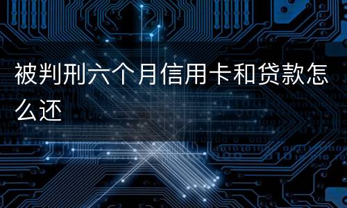 被判刑六个月信用卡和贷款怎么还