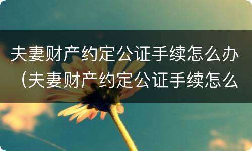 夫妻财产约定公证手续怎么办（夫妻财产约定公证手续怎么办理）