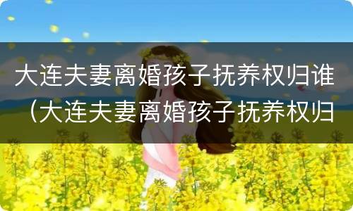 大连夫妻离婚孩子抚养权归谁（大连夫妻离婚孩子抚养权归谁所有）
