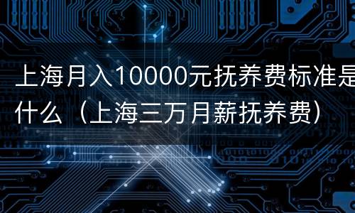 上海月入10000元抚养费标准是什么（上海三万月薪抚养费）