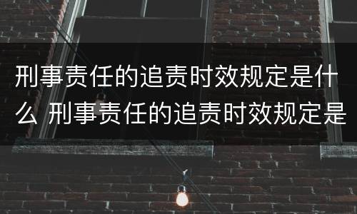 刑事责任的追责时效规定是什么 刑事责任的追责时效规定是什么时候实施