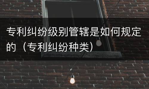 专利纠纷级别管辖是如何规定的（专利纠纷种类）