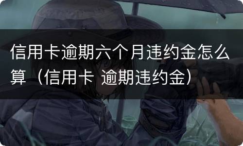 信用卡逾期六个月违约金怎么算（信用卡 逾期违约金）