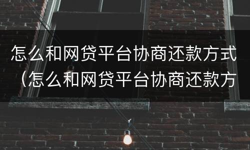 怎么和网贷平台协商还款方式（怎么和网贷平台协商还款方式一样）