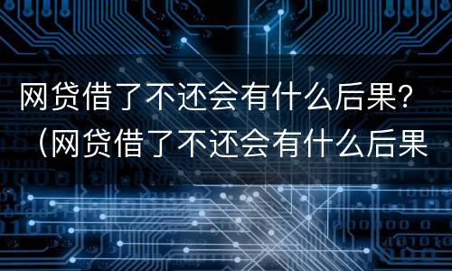 网贷借了不还会有什么后果？（网贷借了不还会有什么后果嘛）