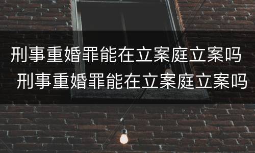 刑事重婚罪能在立案庭立案吗 刑事重婚罪能在立案庭立案吗知乎