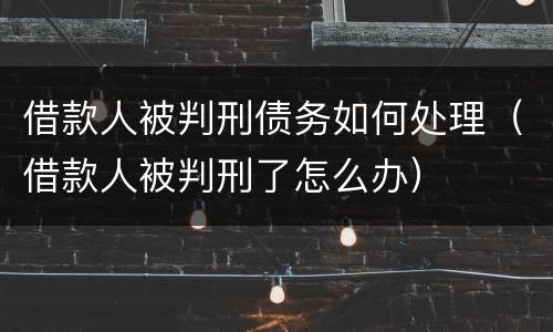借款人被判刑债务如何处理（借款人被判刑了怎么办）