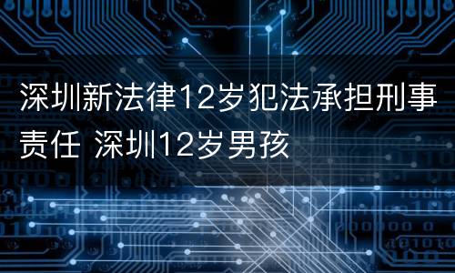 深圳新法律12岁犯法承担刑事责任 深圳12岁男孩