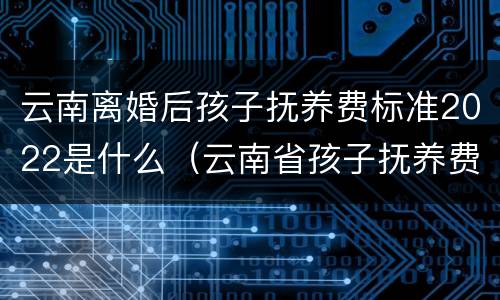 云南离婚后孩子抚养费标准2022是什么（云南省孩子抚养费标准）