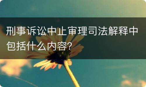 刑事诉讼中止审理司法解释中包括什么内容？