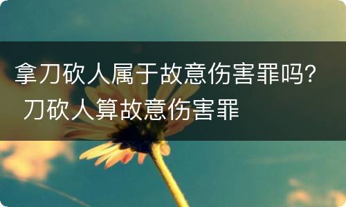 拿刀砍人属于故意伤害罪吗？ 刀砍人算故意伤害罪