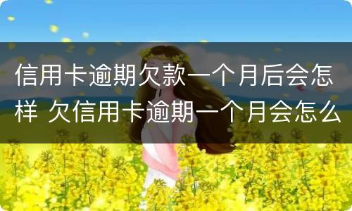 信用卡逾期欠款一个月后会怎样 欠信用卡逾期一个月会怎么样