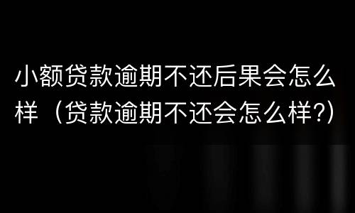 小额贷款逾期不还后果会怎么样（贷款逾期不还会怎么样?）