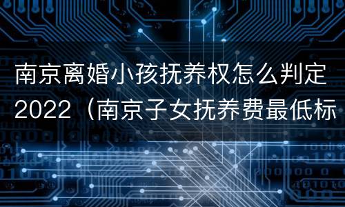 南京离婚小孩抚养权怎么判定2022（南京子女抚养费最低标准）