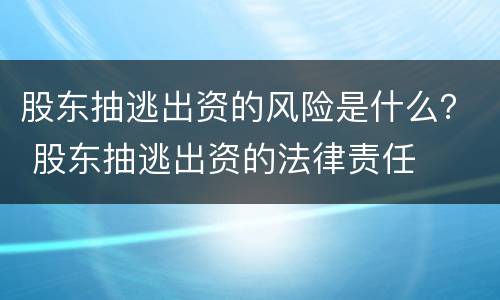 股东抽逃出资的风险是什么？ 股东抽逃出资的法律责任