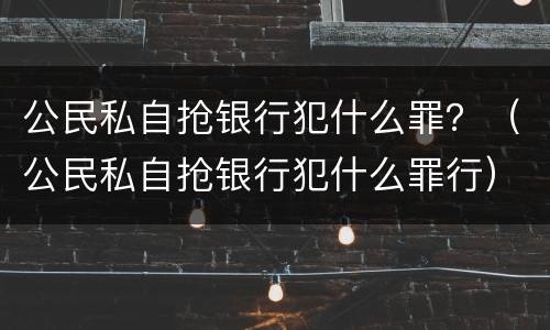 公民私自抢银行犯什么罪？（公民私自抢银行犯什么罪行）