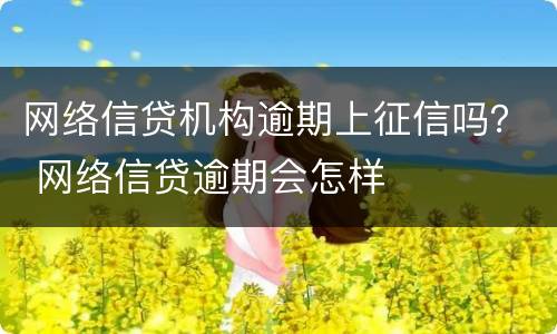 网络信贷机构逾期上征信吗？ 网络信贷逾期会怎样